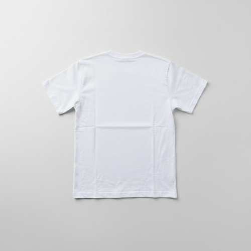 Vue de dos corrigée du t-shirt SAPR